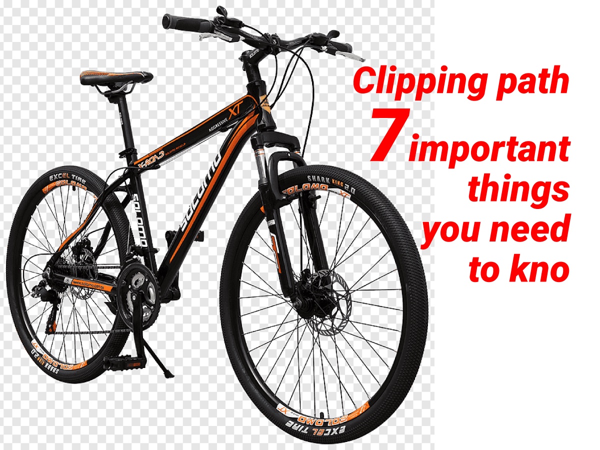 7 Important Things You Need To Know