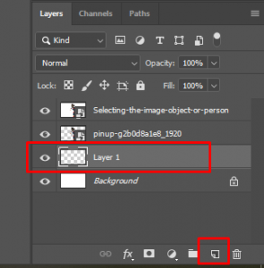 Make a new layer from the selection