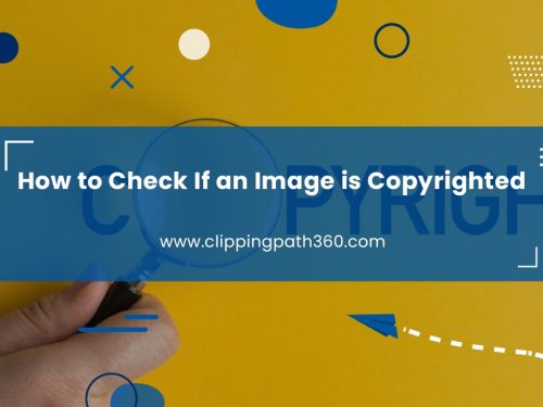 How to Check If an Image is Copyrighted? 5 easy ways