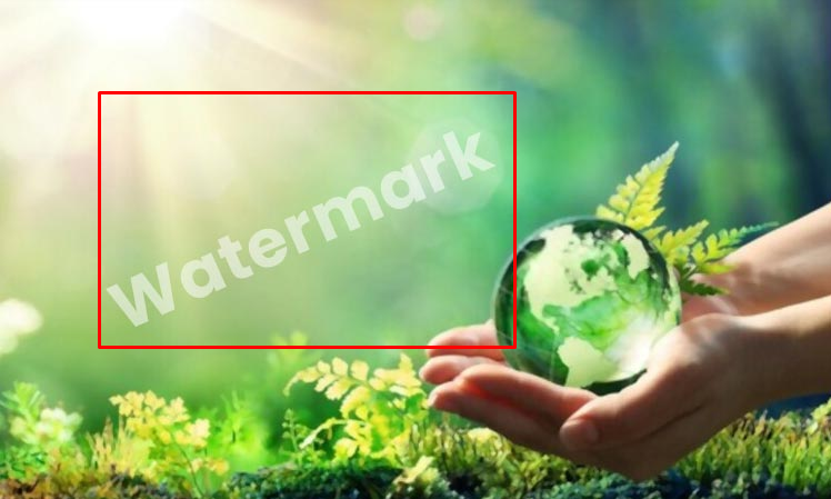 Identify Watermark